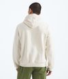Buzo-Evolution-Half-Dome-Hoodie-Blanco-Hombre-The-North-Face