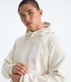Buzo-Evolution-Half-Dome-Hoodie-Blanco-Hombre-The-North-Face