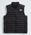 Chaleco-Terra-Peak-Vest-Negro-Hombre-The-North-Face-