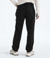 Pantalon-Paramount-5-Pocket-Pant-Negro-Hombre-The-North-Face-