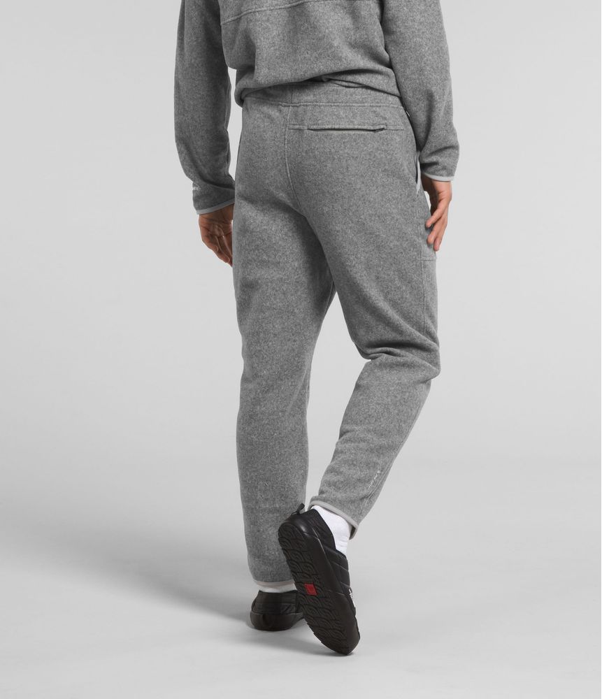 Pantalon-Alpine-Polartec-100-Gris-Hombre-The-North-Face