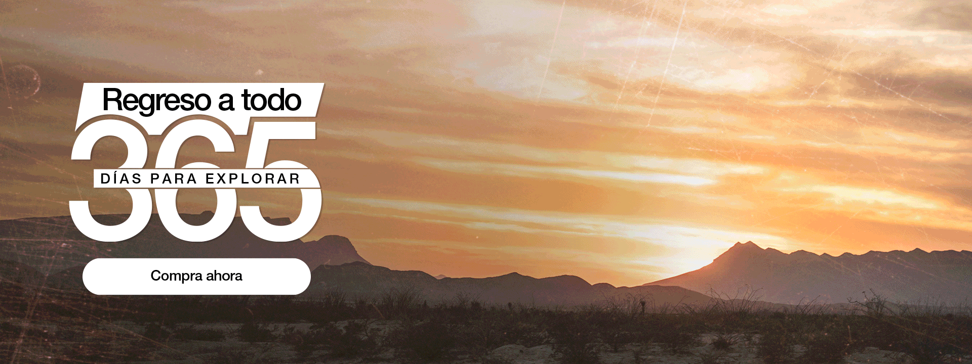 Regreso a todo Desktop