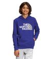 Buzo-Camp-Fleece-P-O-Deportivo-Azul-Niño-The-North-Face-S