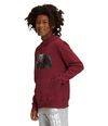 Buzo-Camp-Fleece-P-O-Deportivo-Vinotinto-Niño-The-North-Face