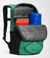 NF0A3VXFPK1_5